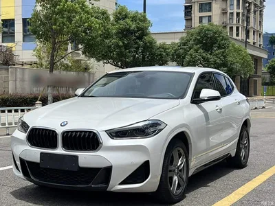 2022 BMW X2 sDrive25i M Sport Package, фото 1, лот 10475595