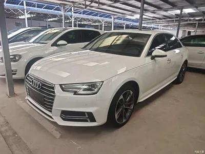 2019 Audi A4L 40 TFSI Progressive (China VI), фото 1, лот 11190812