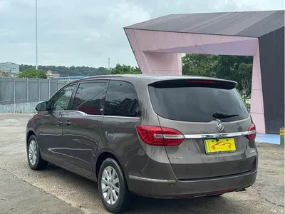 2015 Buick GL8, фото 3, лот 10243457