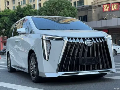 2023 GAC Trumpchi Trumpchi M8 Model Master Series Hybrid Royal Edition, фото 3, лот 10828333