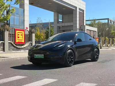 2021 Tesla Model Y Standard Range Rear-Wheel Drive, фото 1, лот 11582458