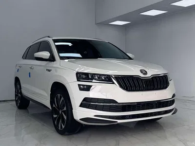 2022 Škoda Karoq TSI280 Luxury Edition, фото 3, лот 10349376