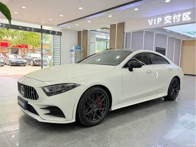 2021 Mercedes-Benz CLS 300 Luxury, фото 1, лот 10400794