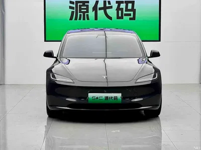 2025 Tesla Model 3 Long Range All-Wheel Drive, фото 1, лот 10366617