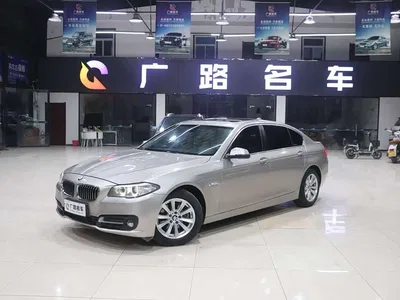 2014 BMW 5 Series 520Li Elegance, фото 3, лот 10445989
