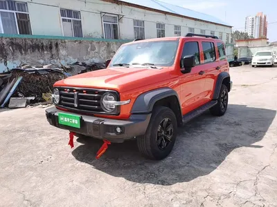 2021 Tank 300 Off-road Edition 2.0T Challenger, фото 1, лот 11081425