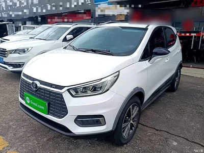 2019 BYD Yuan New Energy EV535 High Energy Navigation Edition, фото 2, лот 10272653