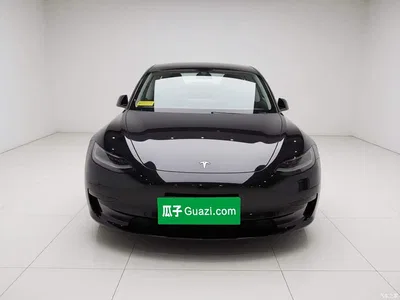 2025 Tesla Model 3 Model Rear-Wheel Drive Edition, фото 2, лот 11139392