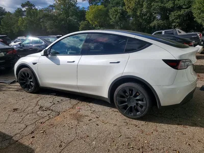 2023 TESLA MODEL Y, фото 2, лот 11554668