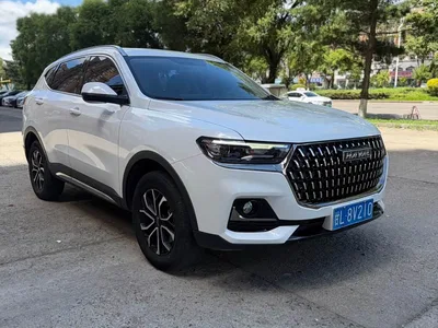 2023 Haval H6 National Trend Edition 1.5T Automatic Urban, фото 3, лот 10307078