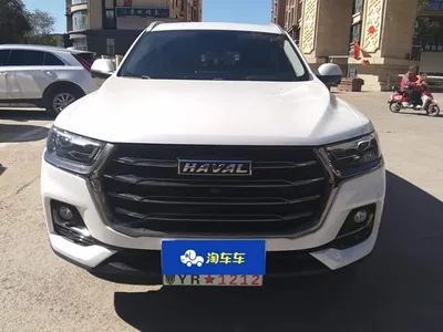 2021 Haval H6 National Trend Edition 2.0GDIT Automatic Champion, фото 2, лот 11536246