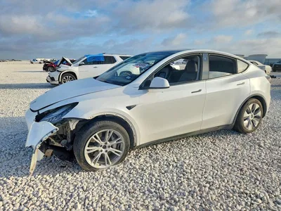 2023 TESLA MODEL Y, фото 1, лот 10857083