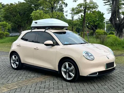 2022 Ora Good Cat 400km Standard Range Luxury LFP, фото 3, лот 10765710