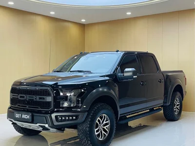 2019 Ford F-150 Raptor 3.5T Raptor Performance Enhanced Edition, фото 1, лот 10298616