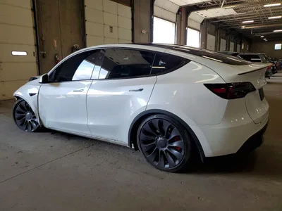 2024 TESLA MODEL Y, фото 2, лот 10852173