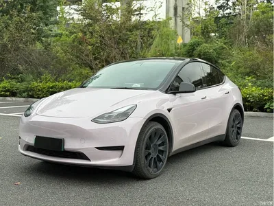 2022 Tesla Model Y Rear-Wheel Drive Version, фото 1, лот 11585097