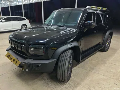2023 Jetour Traveler Model 2.0T 4WD Cross PRO, фото 1, лот 10395102