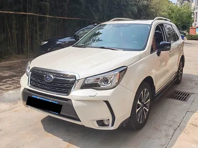 2018 Subaru Forester 2.0i Fashion Navigation Edition, фото 1, лот 10831053