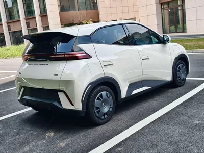 2024 BYD Seagull Glory Edition 305km Vitality Edition, фото 4, лот 10399989
