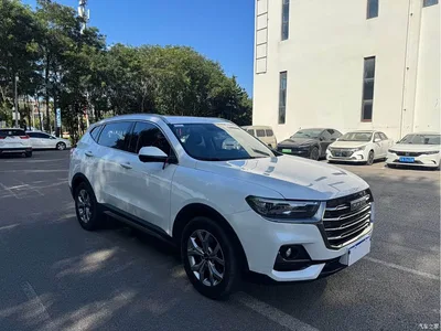 2021 Haval H6 Model National Trend Edition 1.5T Auto Champion, фото 4, лот 10300477