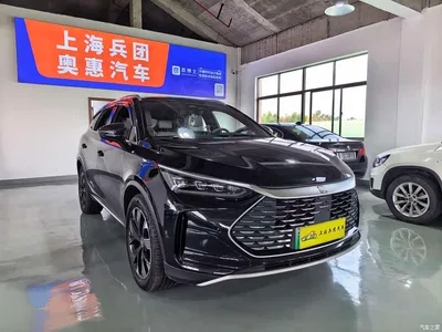 2024 BYD Tang New Energy Model DM-i Glory Edition 112KM Flagship Type, фото 3, лот 11188614