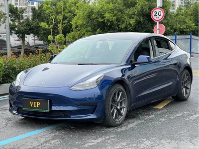 2022 Tesla Model 3 Model Rear-Wheel Drive Version, фото 1, лот 10366361