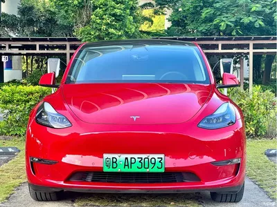 2021 Tesla Model Y Model Long Range AWD, фото 2, лот 11535067