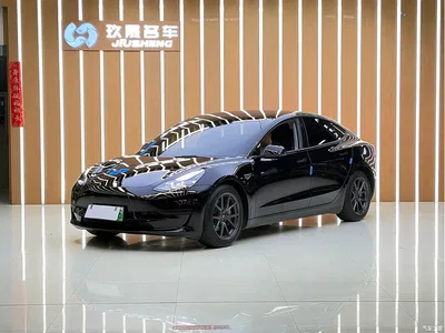 2022 Tesla Model 3 Model Rear-Wheel Drive Version, фото 1, лот 10955194