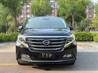 2018 GAC Trumpchi Trumpchi M8 320T Premium Edition, фото 2, лот 10417849