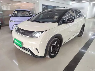 2021 BYD Dolphin Model 405km Fashion Edition, фото 2, лот 11249850