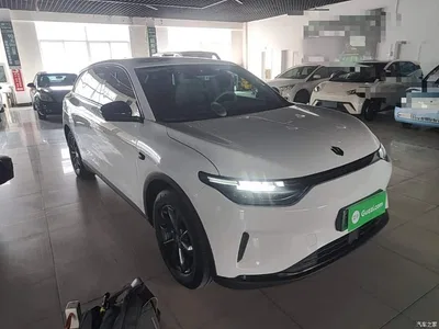 2023 Leapmotor C11 Pure Electric 500 Comfort Edition, фото 4, лот 10389563