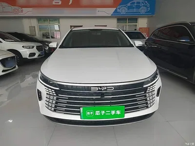 2024 BYD Destroyer 05 Glory Edition DM-i 55KM Luxury, фото 3, лот 10260610