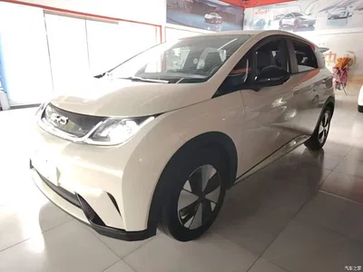2023 BYD Dolphin 420km Freedom Edition, фото 2, лот 10672033