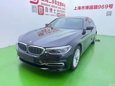2020 BMW 5 Series 530Li Premium Luxury Package, фото 3, лот 11547896