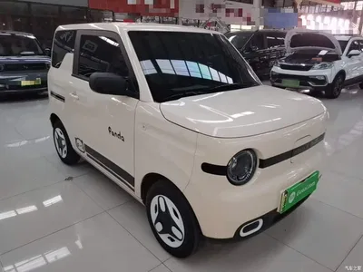 2025 Geely Galaxy Panda mini 210km Vitality Bear, фото 4, лот 10433538