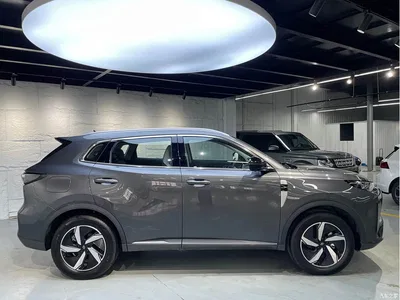 2024 Changan Qiyuan Q05 Deluxe Edition 125 Surpass CALB, фото 4, лот 10407309