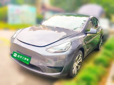 2022 Tesla Model Y Rear-Wheel Drive Version, фото 1, лот 11552283