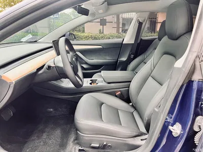2021 Tesla Model 3 Standard Range Rear-Wheel Drive Upgrade 3D6, фото 3, лот 10350516