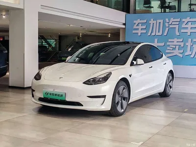 2022 Tesla Model 3 Model Rear-Wheel Drive Version, фото 1, лот 10384213