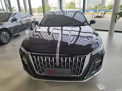 2025 Hongqi H5 2.0T Automatic Flag Celebration 500,000 Units Anniversary Edition, фото 3, лот 11095559