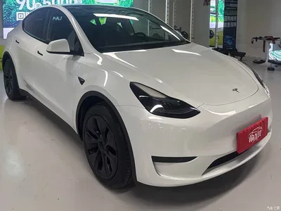 2024 Tesla Model Y Rear-Wheel Drive Version, фото 3, лот 11199806