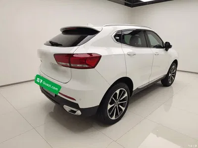 2019 Haval F5 National Trend Edition 1.5T iTrend China VI, фото 4, лот 10905257