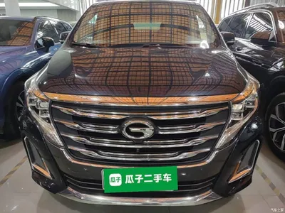 2020 GAC Trumpchi Trumpchi M8 Pilot 390T Prestige Edition, фото 3, лот 10902408
