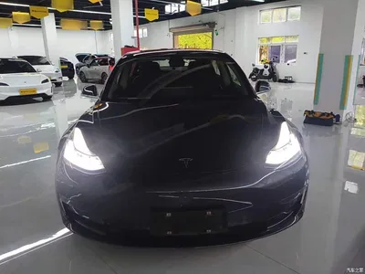 2019 Tesla Model 3 (Import) Long Range All-Wheel Drive Edition, фото 3, лот 10370139