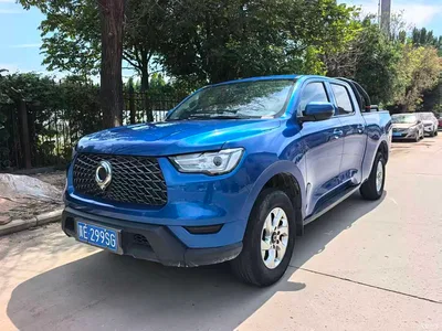 2021 Great Wall Pao 2.0T Commercial Edition Manual Diesel 2WD Elite Long Box GW4D20M, фото 1, лот 10245969