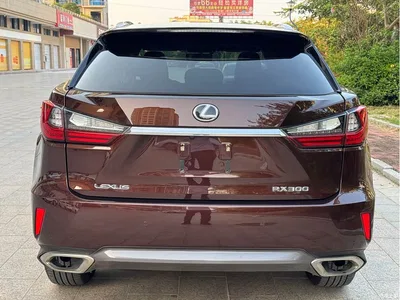 2016 Lexus RX 300 4WD Elegance Edition (China V), фото 4, лот 10318811