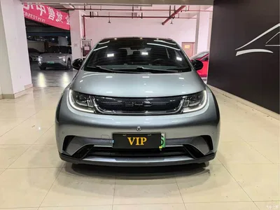 2023 BYD Dolphin 420km Fashion Edition, фото 2, лот 10256763