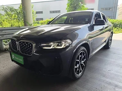 2022 BMW X4 xDrive 25i M Sport Package, фото 2, лот 10476964