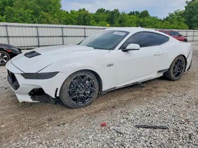 2025 FORD MUSTANG GT, фото 1, лот 10556040