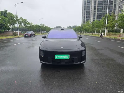 2025 Li Auto i6 4WD Base Model, фото 2, лот 10444139